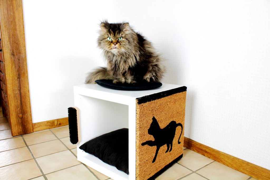 Katzenbaum-für-Katzen